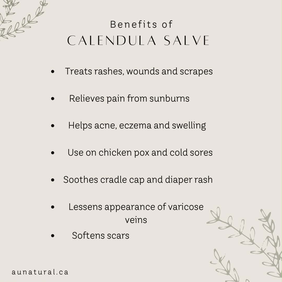 Calendula Salve - Image 3