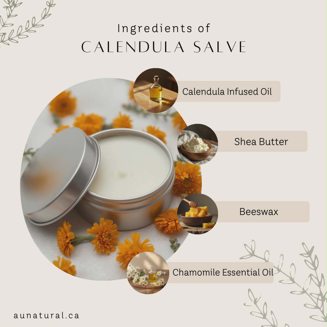 Calendula Salve - Image 2